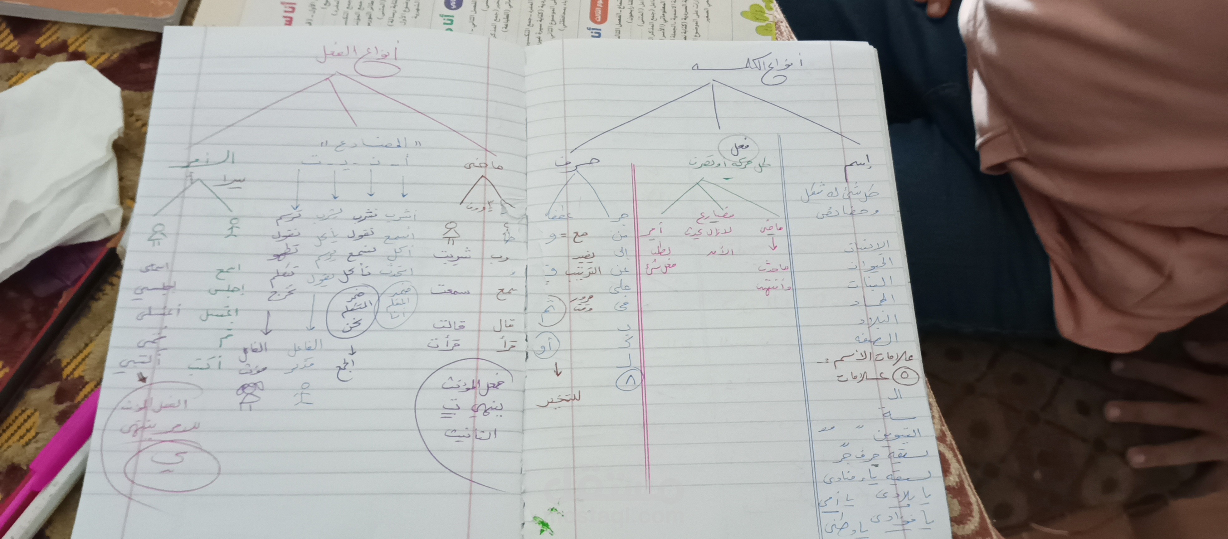 معلمه تأسيس لغه عربيه لسنوات التعليم الاساسيه  حيث تعليم الحروف أصواتها واشكالها  وطريقه النطق مع الحركات الاربعه والتدرج في الكتاب وحسن الخط وصولا إلي الاحتراف