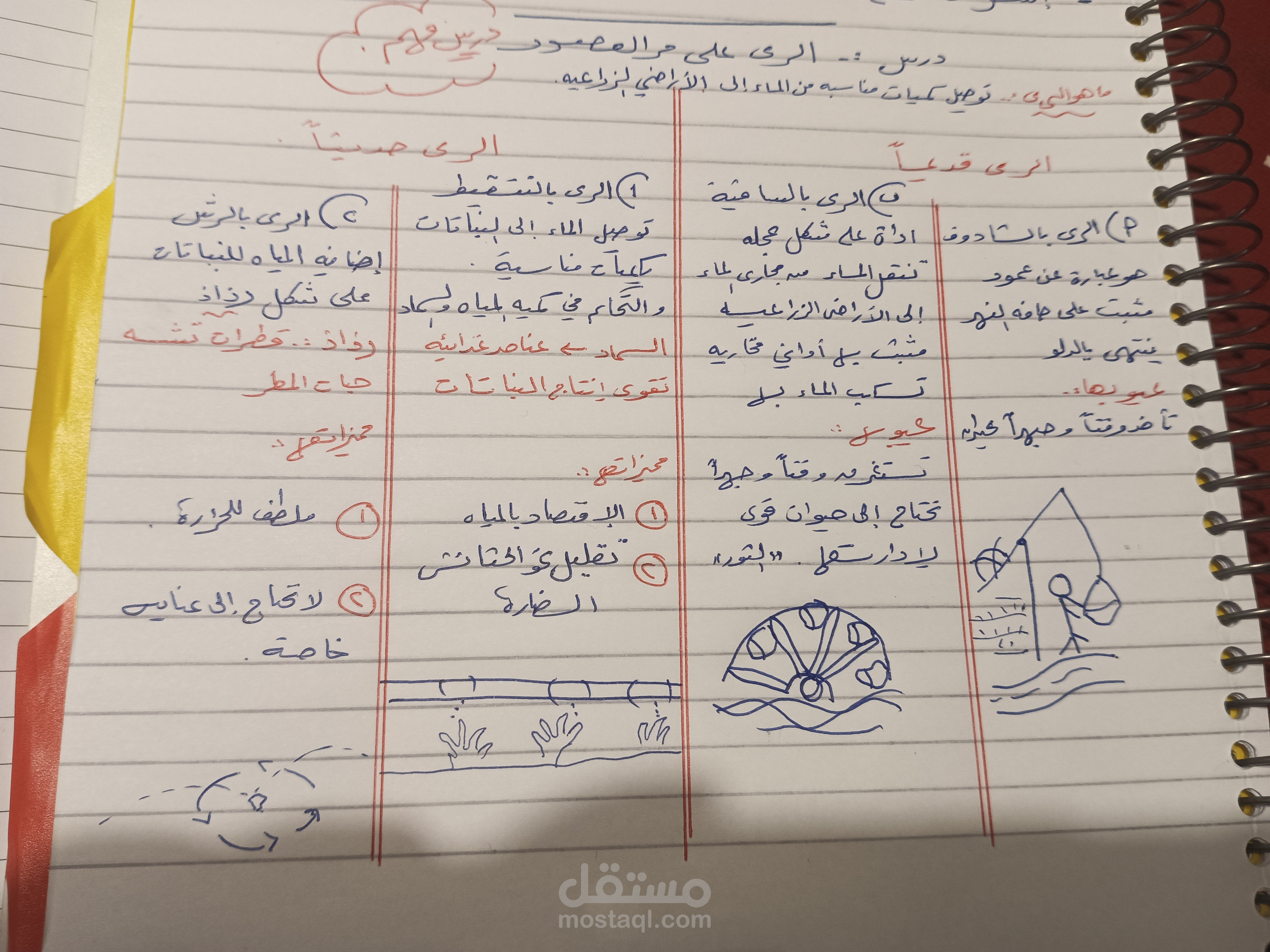 تاسيس قواعد ونحو