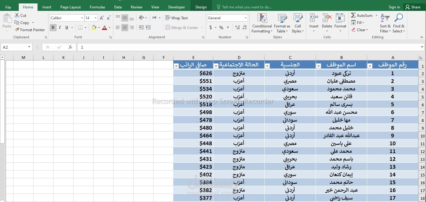 إدخال البيانات على برنامج Excel