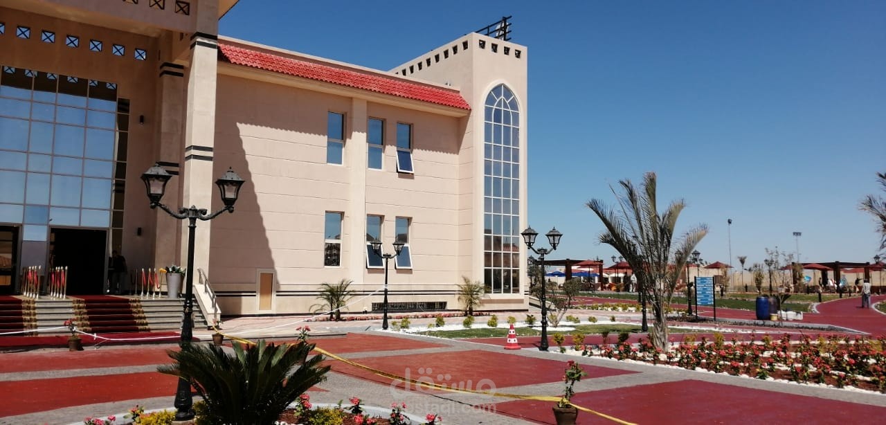 نادي النرجس - مصر