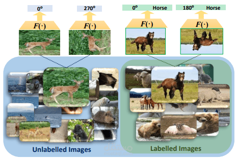 Implicit and Explicit Attention for Zero-Shot Learning
