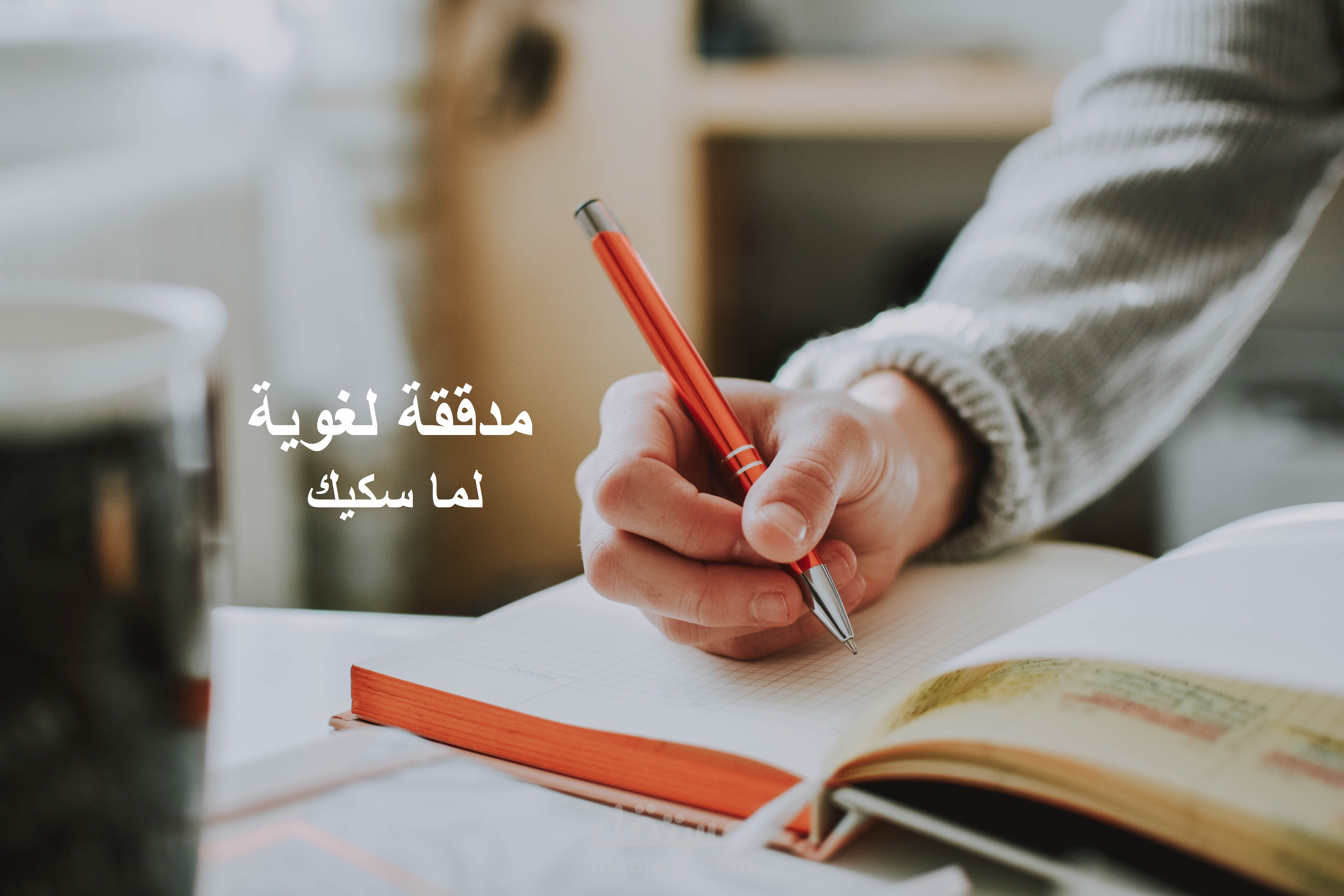 مدققة لغوية
