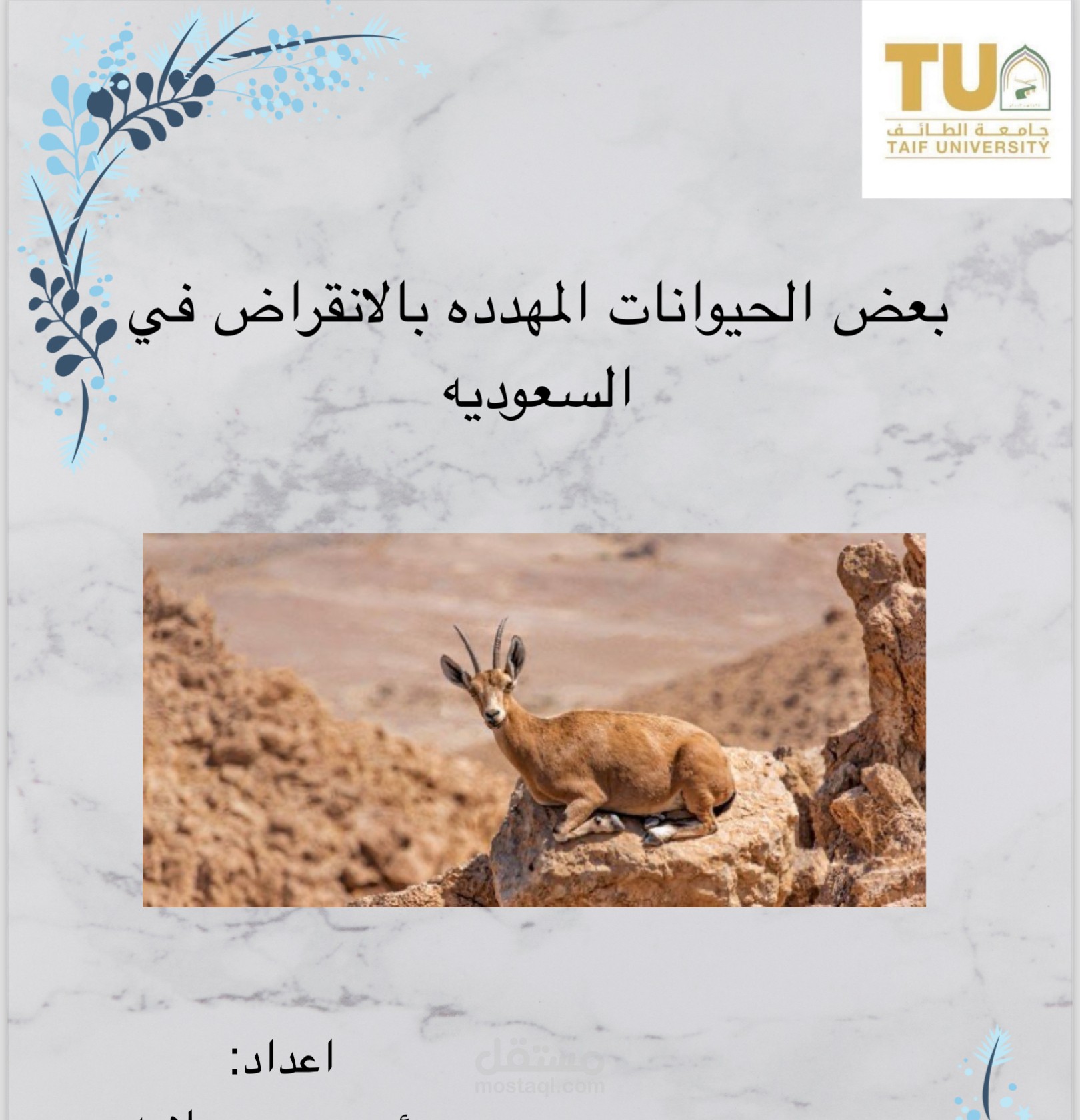 بعض من البحوث التي قمت بها