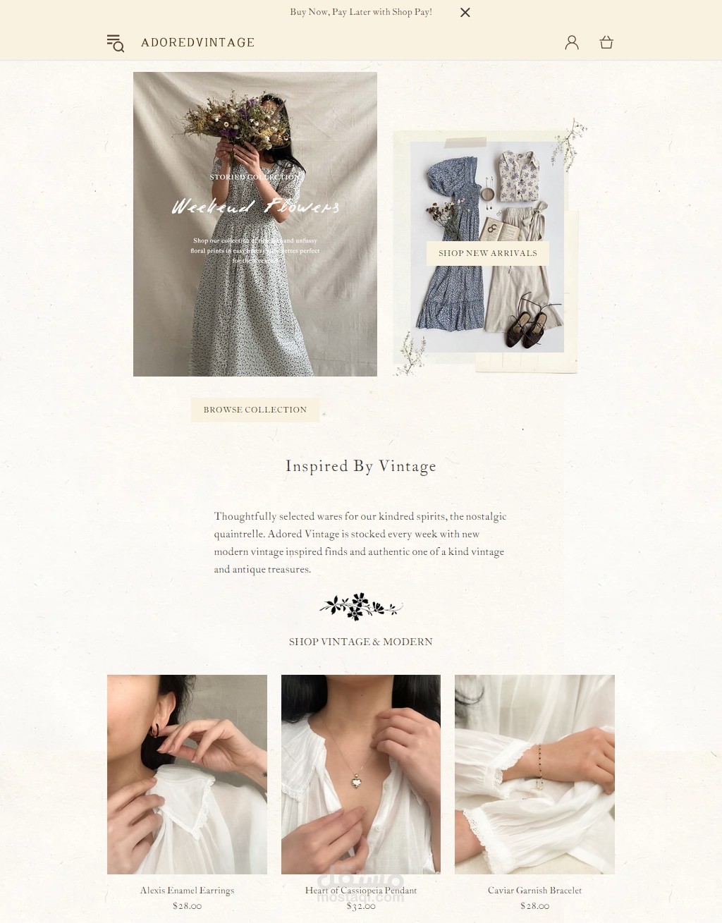 براند Fashion بتصميم premium علي Shopify.