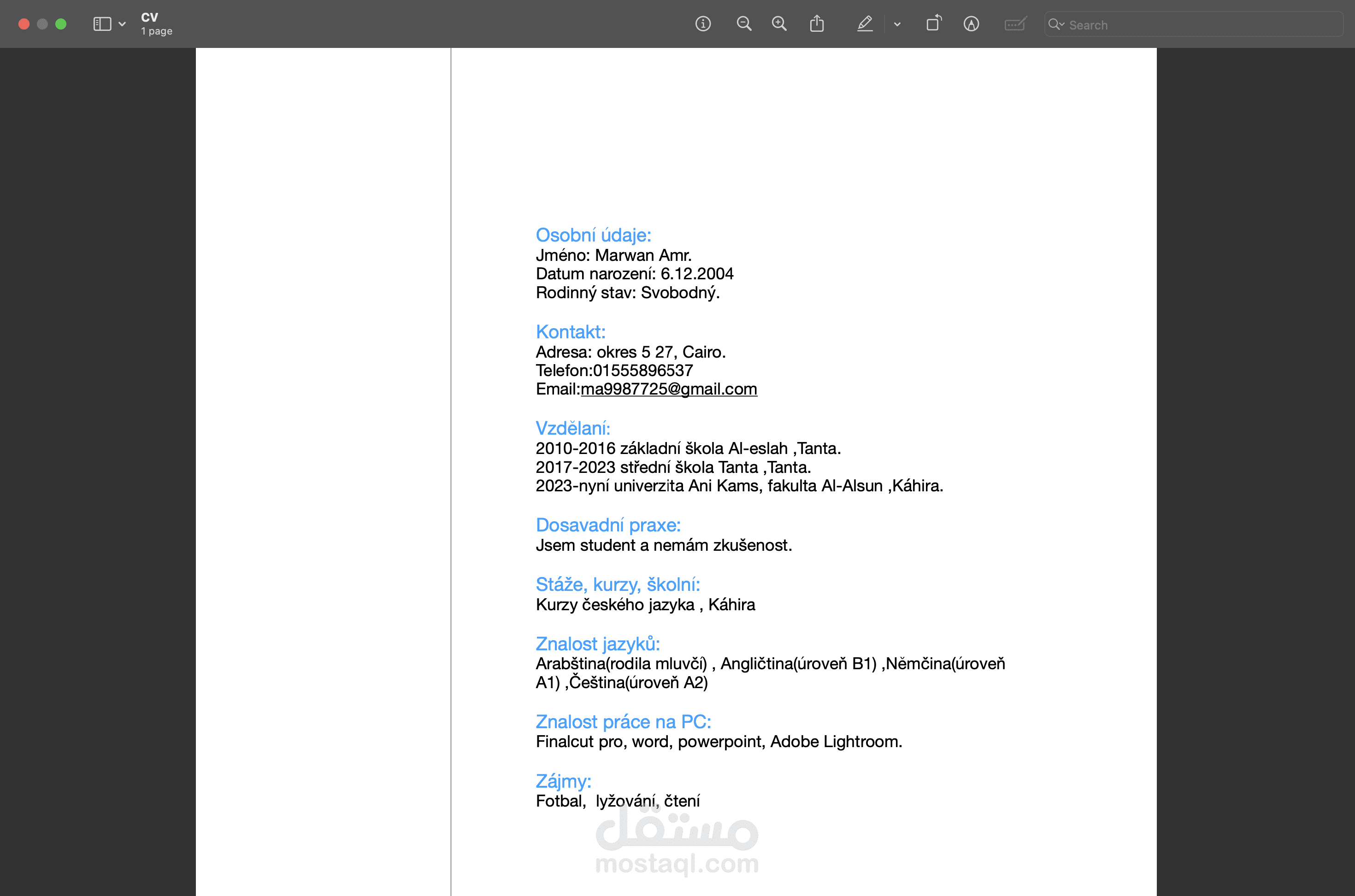 عمل CV باللغه التيشكية