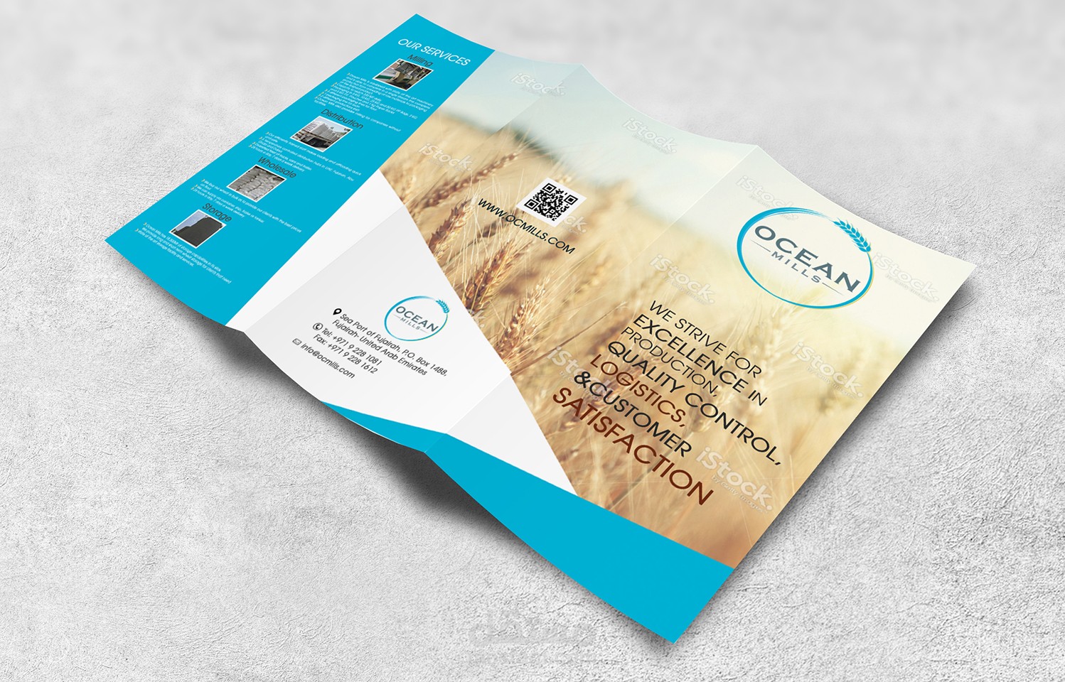 Tri-Fold Brochure Design Mock-up