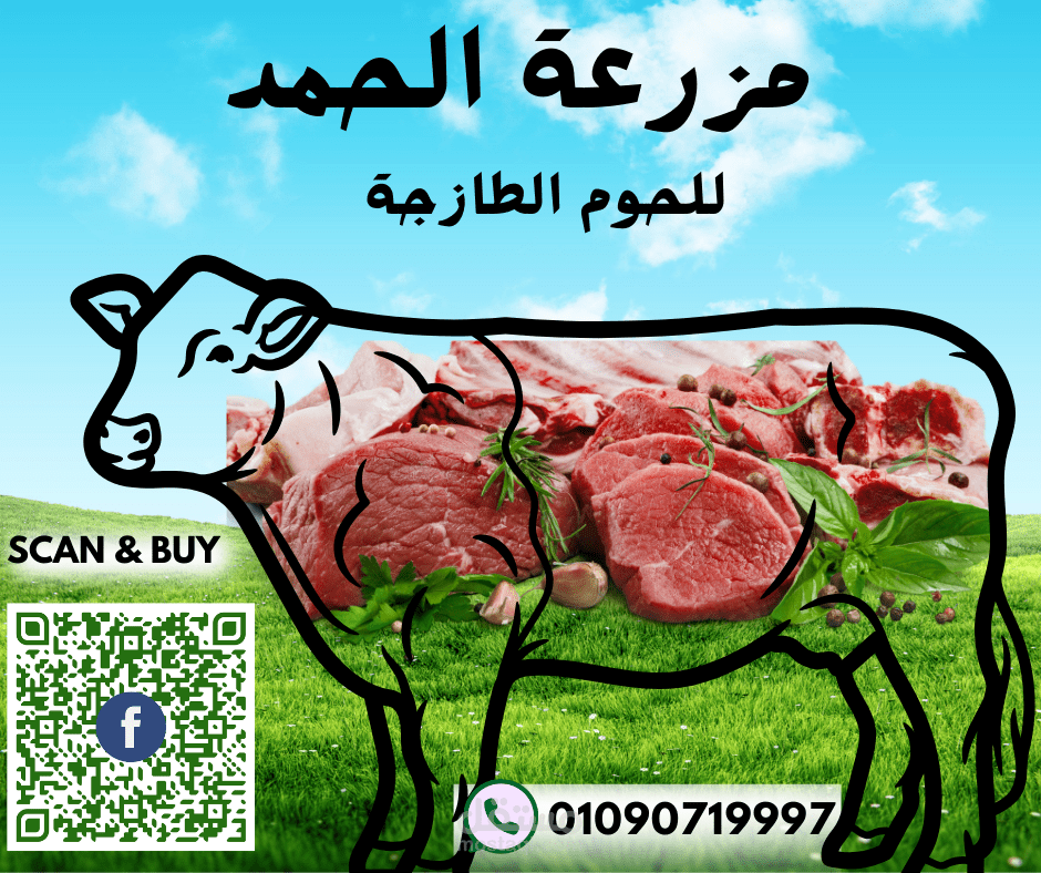Design for meat shop