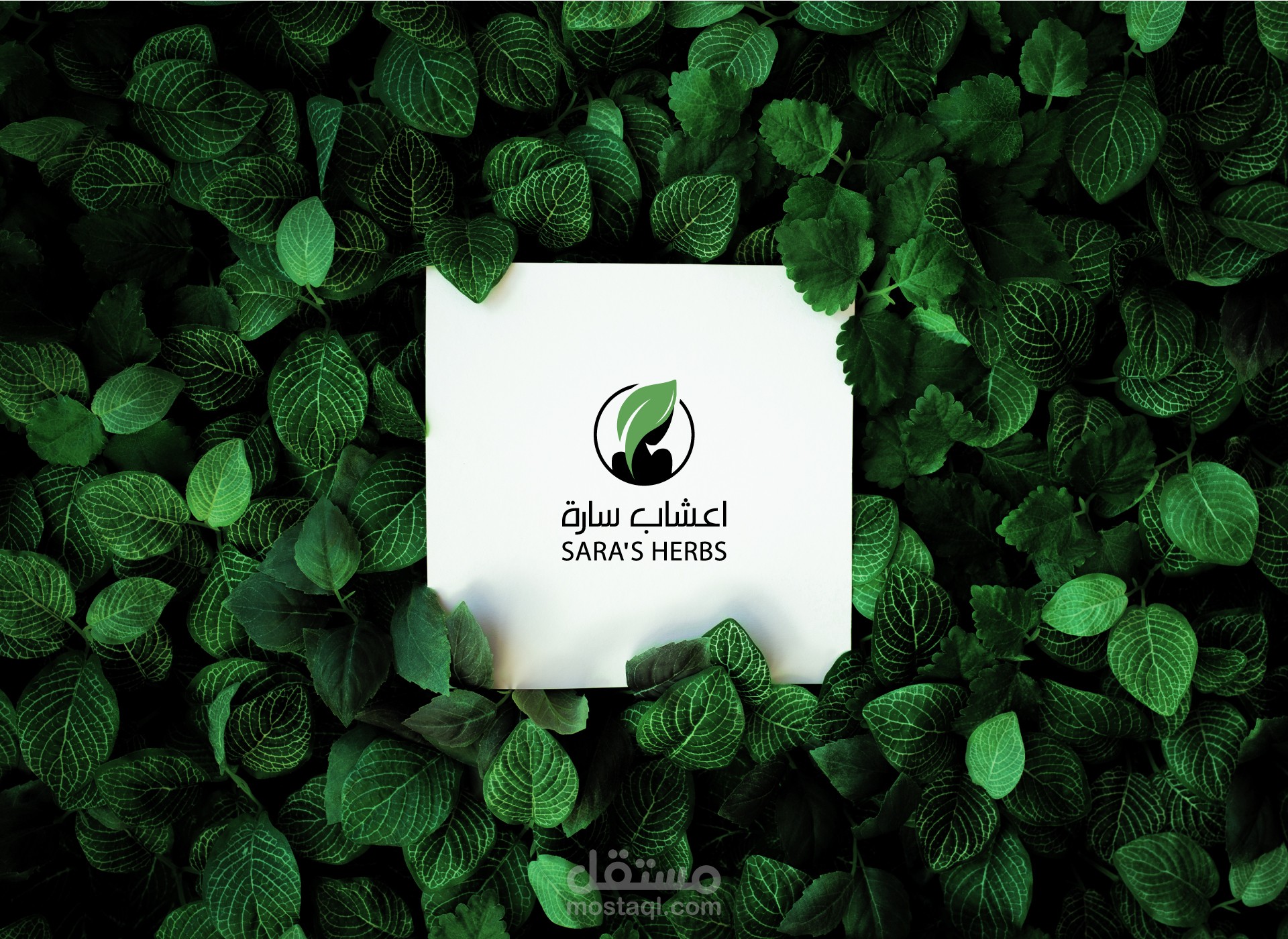 اعشاب سارة | Logo