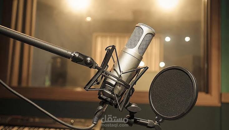 Voice actor/voice Over