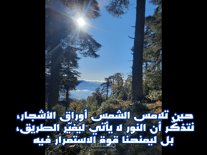 اقتباسات ملهمة مخصصة لصورك ومشاريعك البصرية