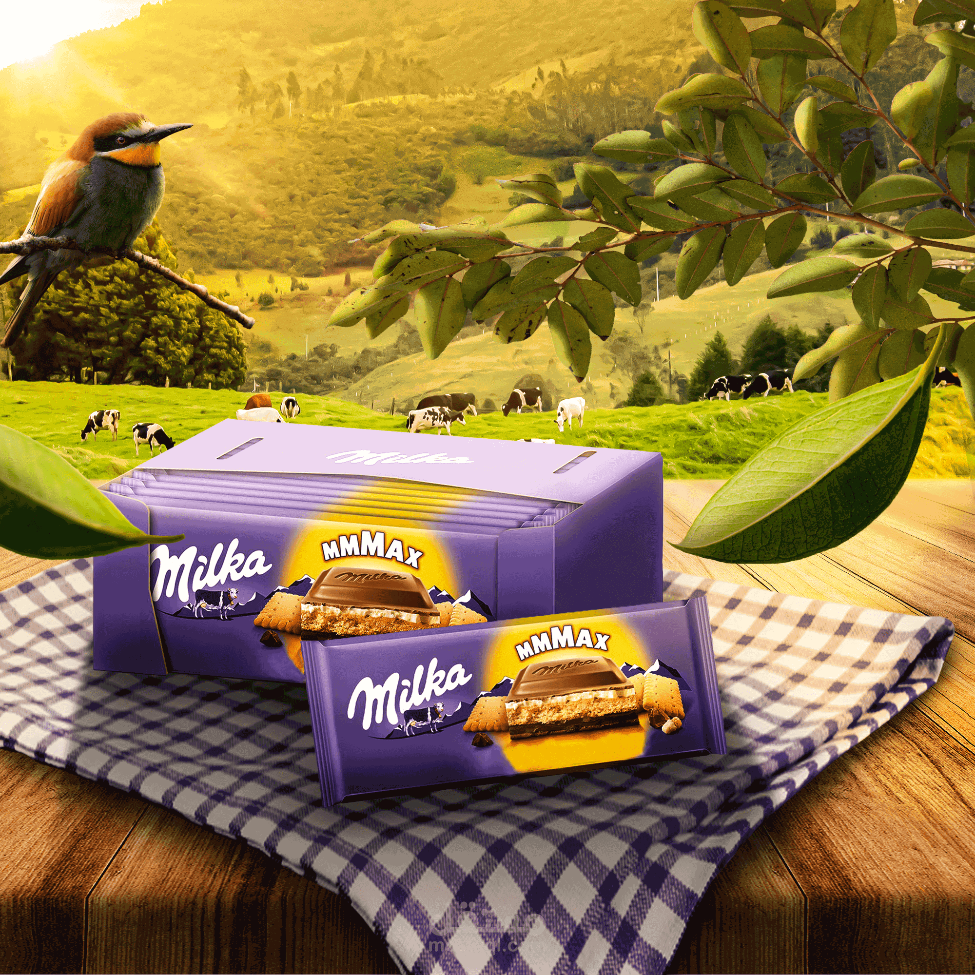 تصميم منشورات سوشيال ميديا باحترافية عالية