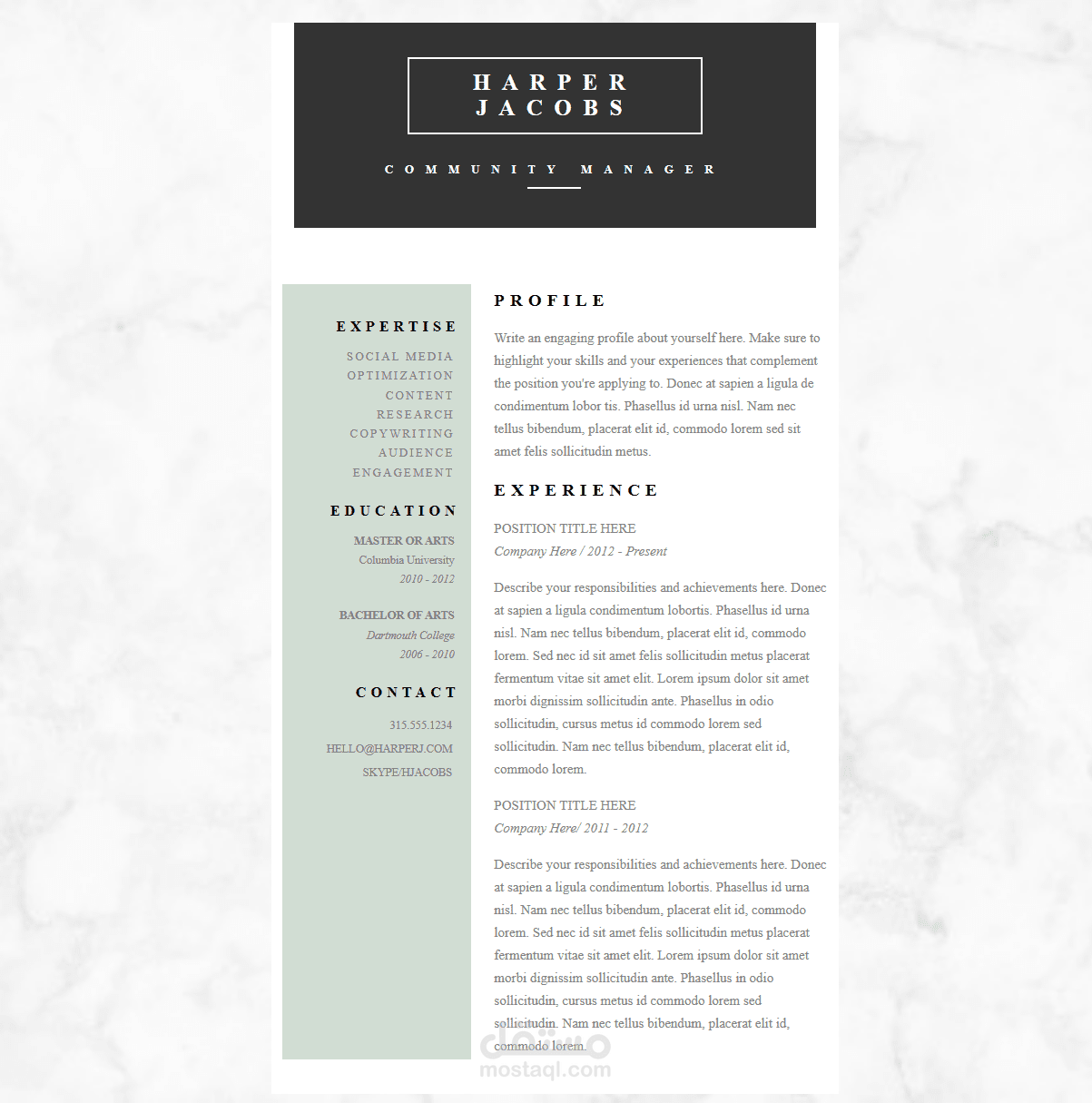 Professional Resume Web Page