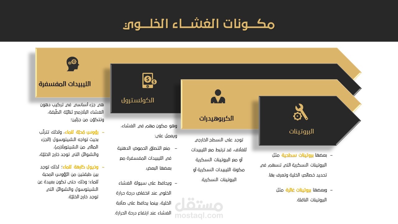 تصميم عرض تقديمي احترافي