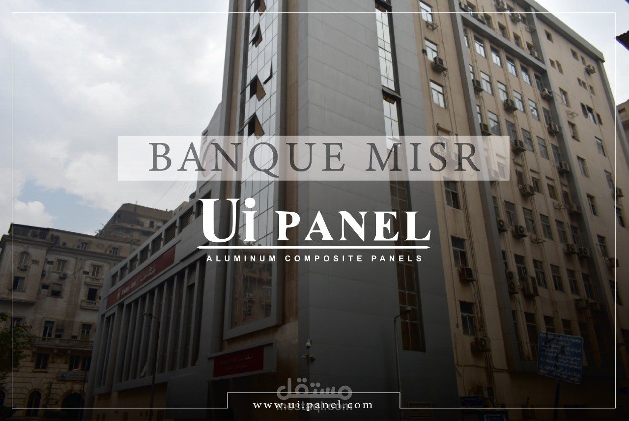 سوشيال ميديا