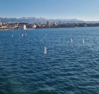 مسابقة قوارب