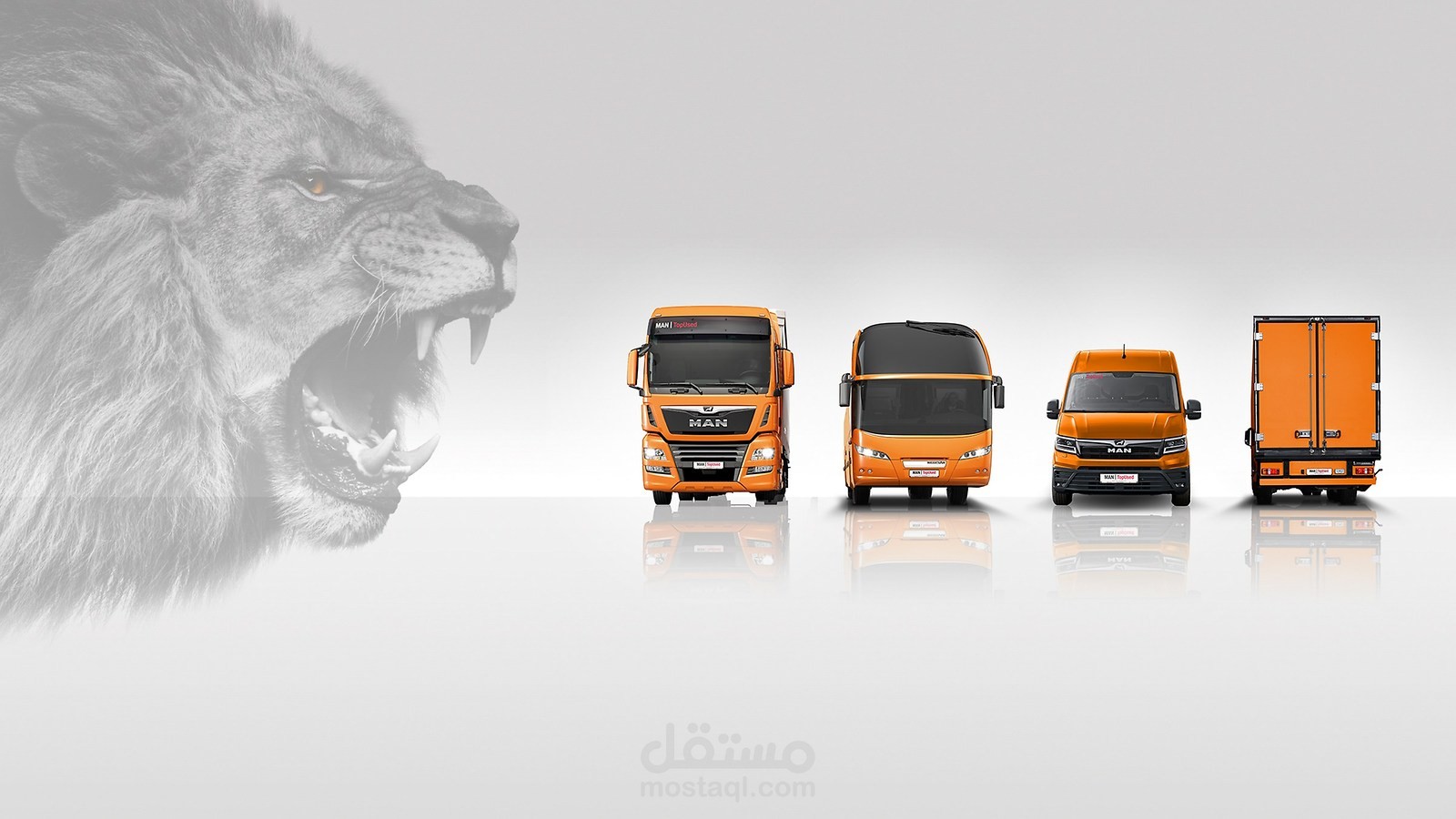 دراسة جدوي وكالة شاحنات وحافلات MAN