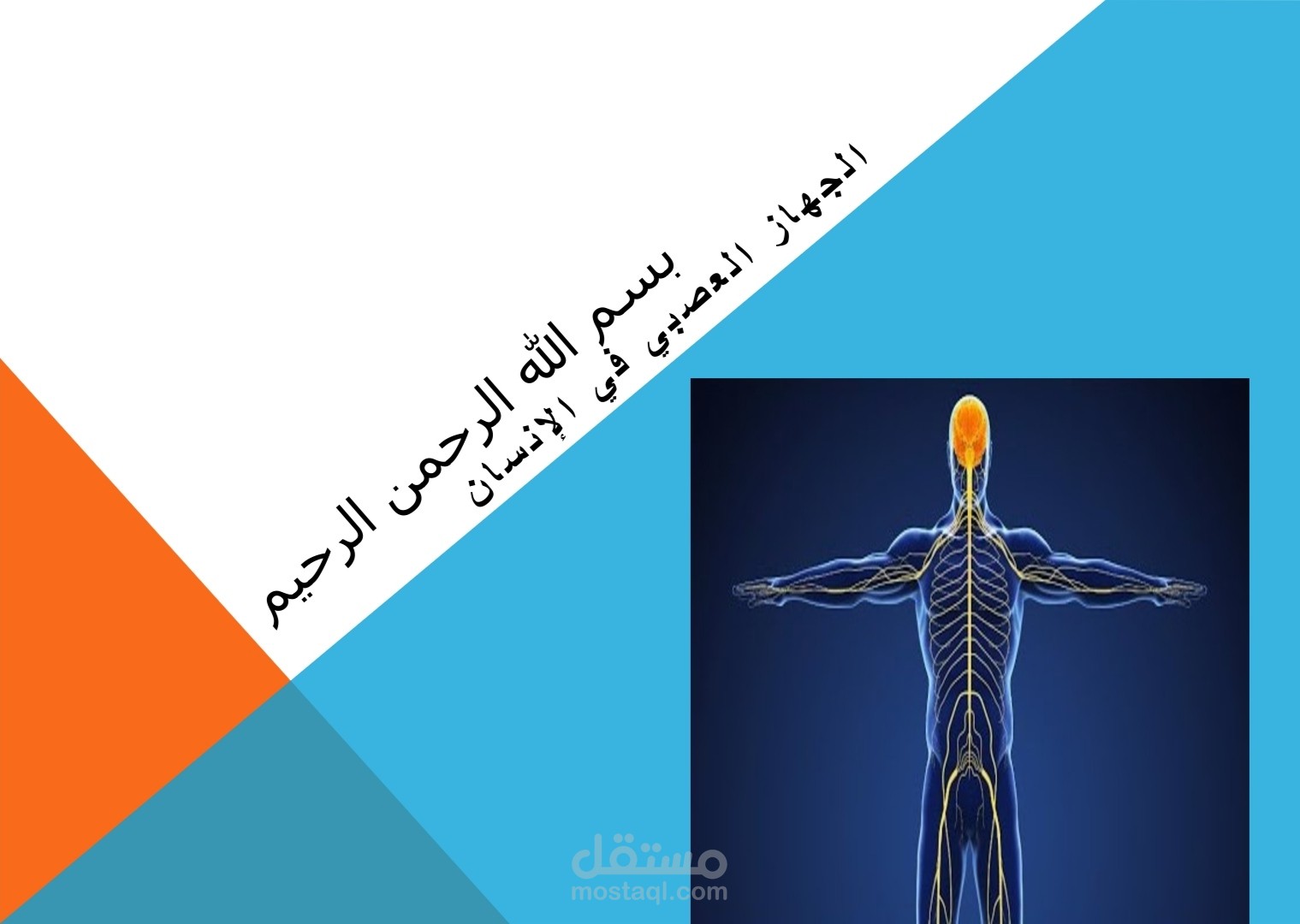 شرح علوم وأحياء