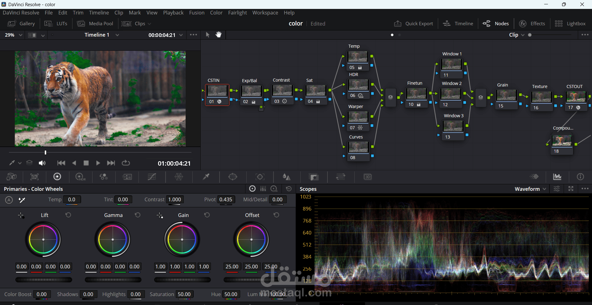 DaVinci coloring video