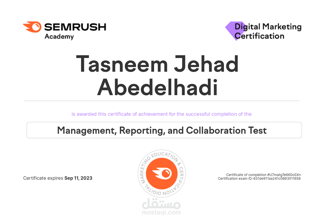 دورة الإدارة وإعداد التقارير للسيو