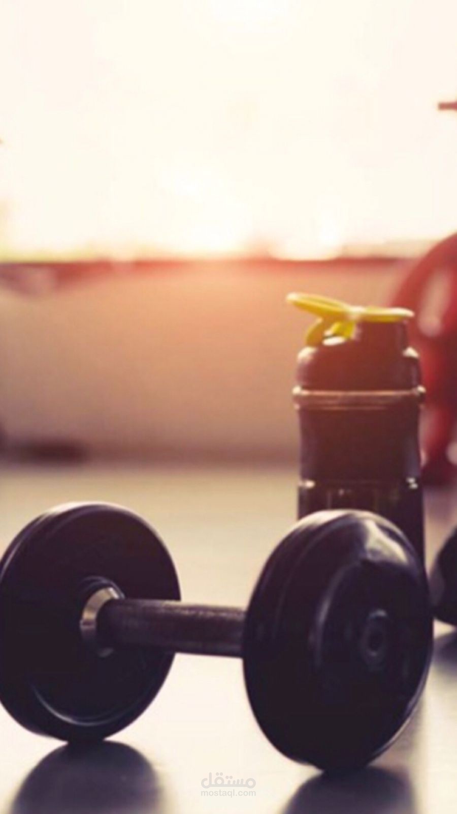 جدول غذائي للتنحيف حسب معلومات الشخص