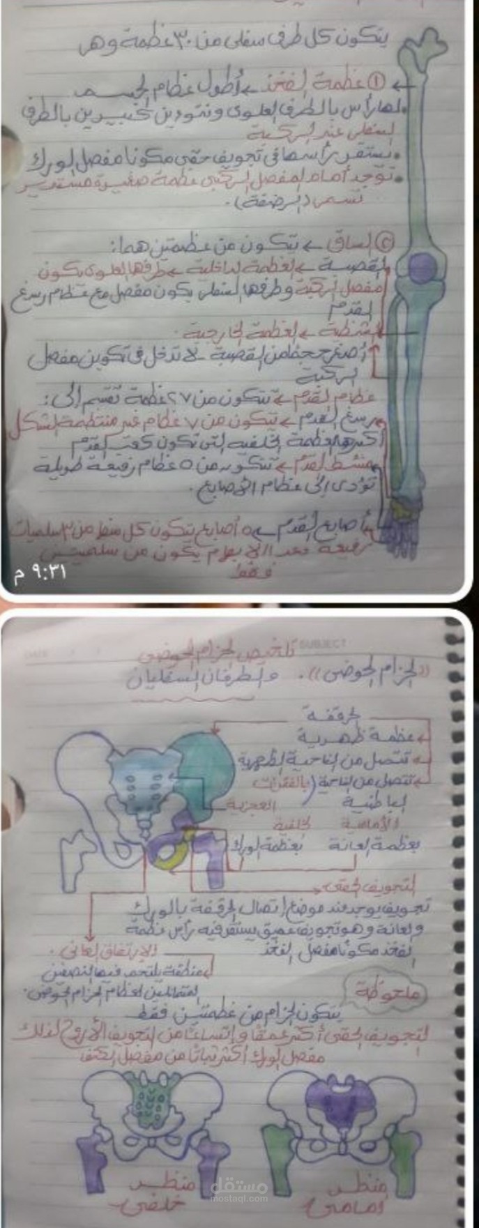 شرح مادة الاحياء