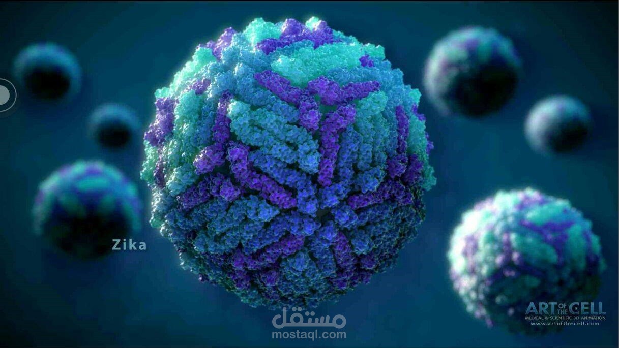 بحث ppt "باور بوينت" عن فيروس زيكا و علاقته بأمراض النسا و الولادة