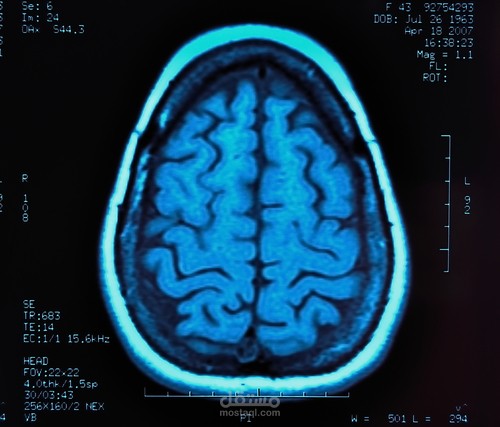 مقالة باللغة الإنجليزية عن أفكار جالت بخاطري عن علاقة السينما و الكتب و وسائل التواصل الإجتماعي بتفكير الناس