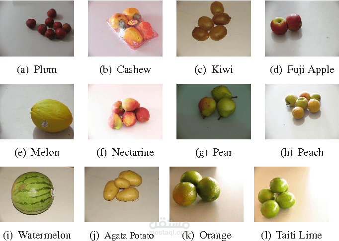 fruit Vegetables classification app