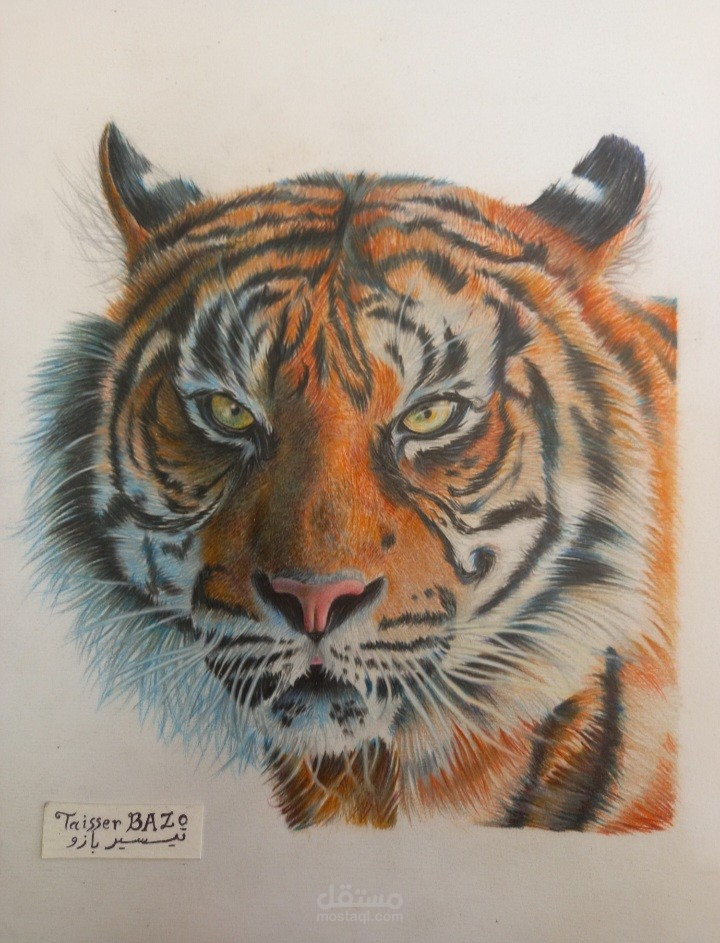 رسومات واقعية و اسكتشات