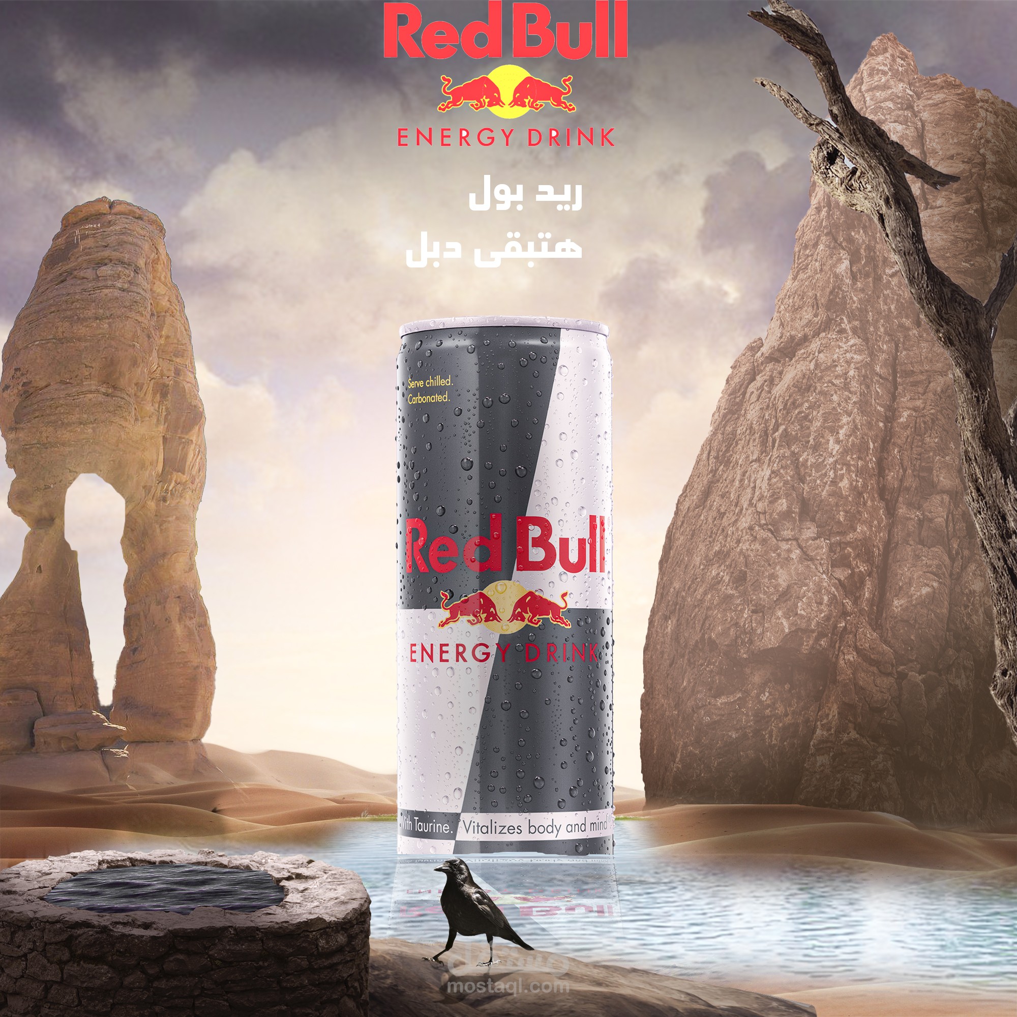 تصاميم اعلانات سوشيال ميديا