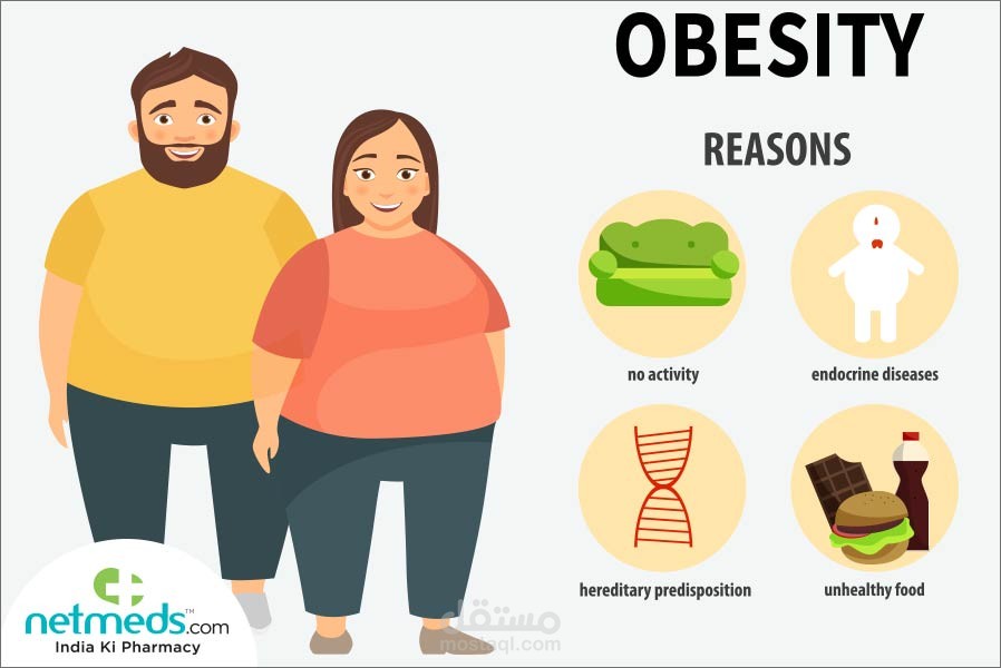 low carb diet
