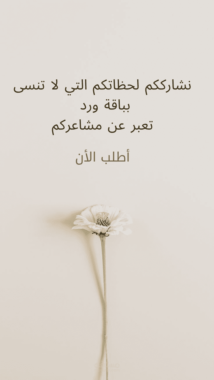 محتوى انستغرام