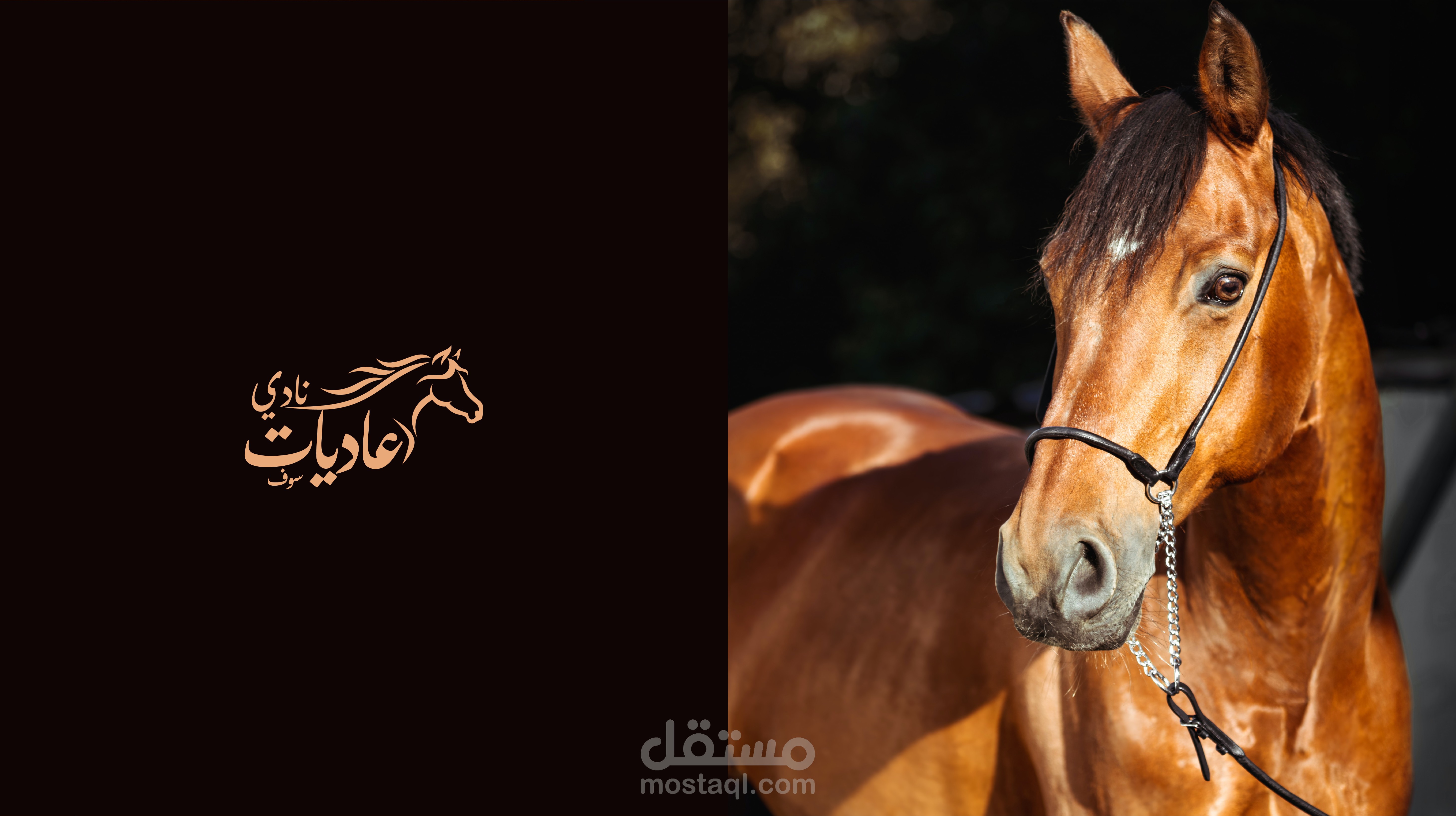 نادي عاديات سوف