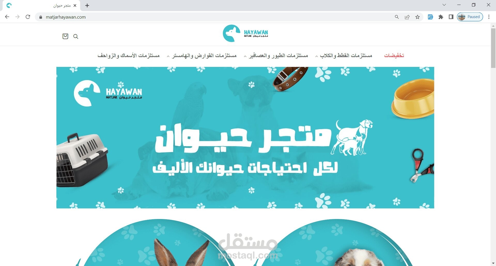تطوير وبرمجة متجر الكتروني (متجر حيوان)