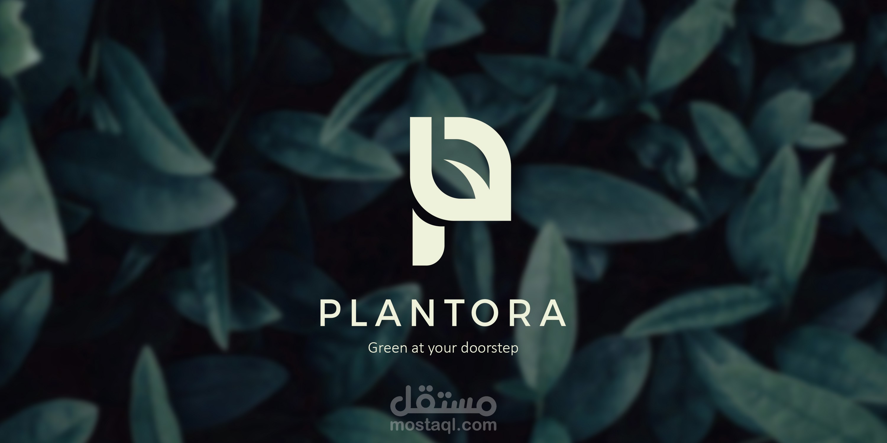 هوية بصرية ولوجو لبراند لتطبيق خاص بتوصيل النباتات و مستلزمات الزراعه