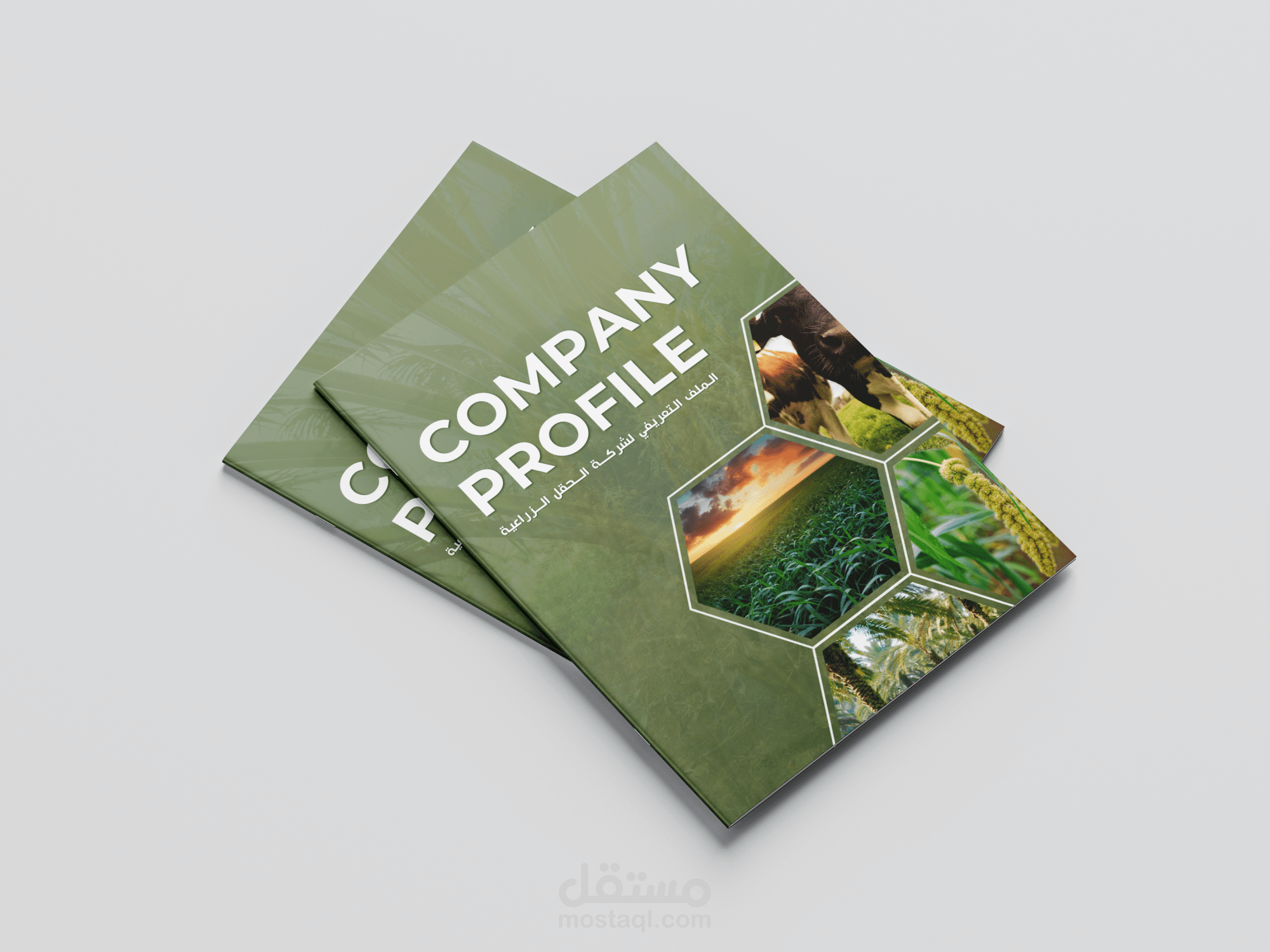 تصميم بروفايل شركة
