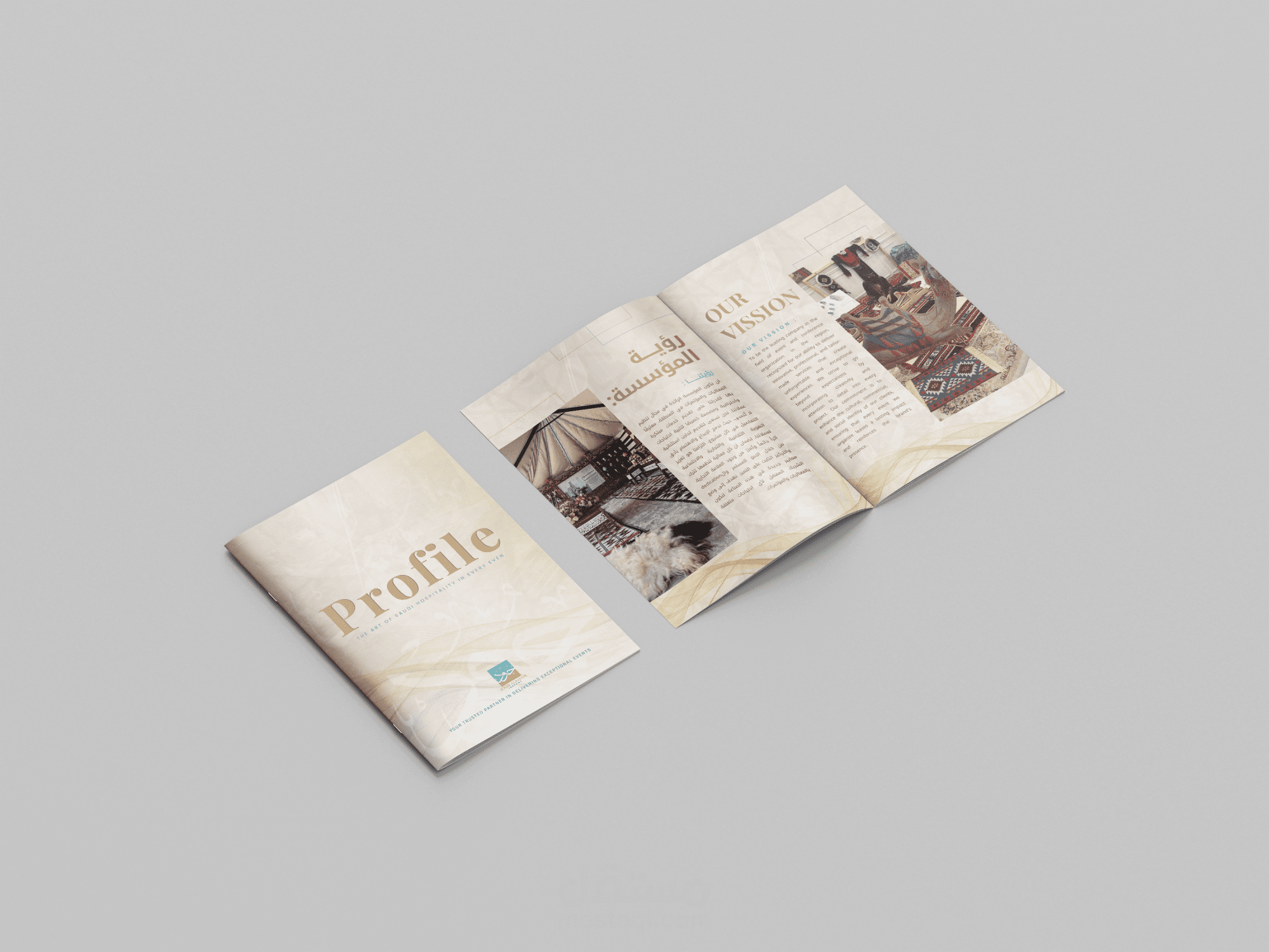 تصميم بروفايل شركة