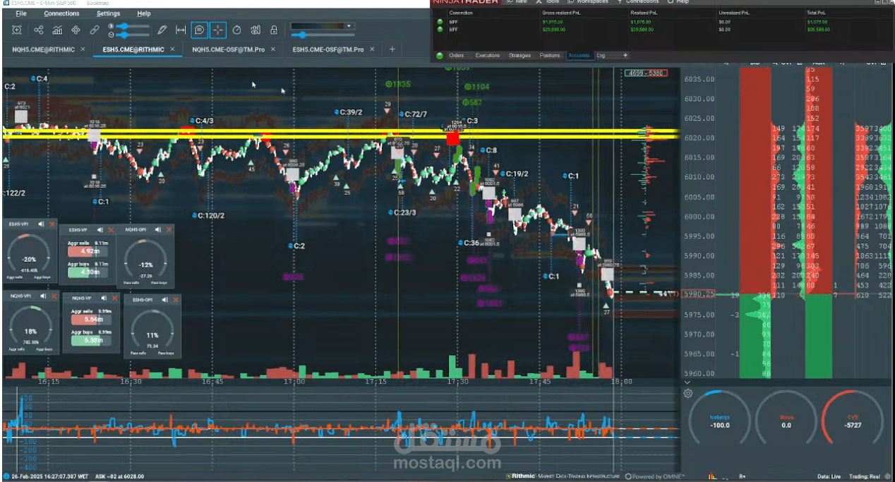 Professional trader