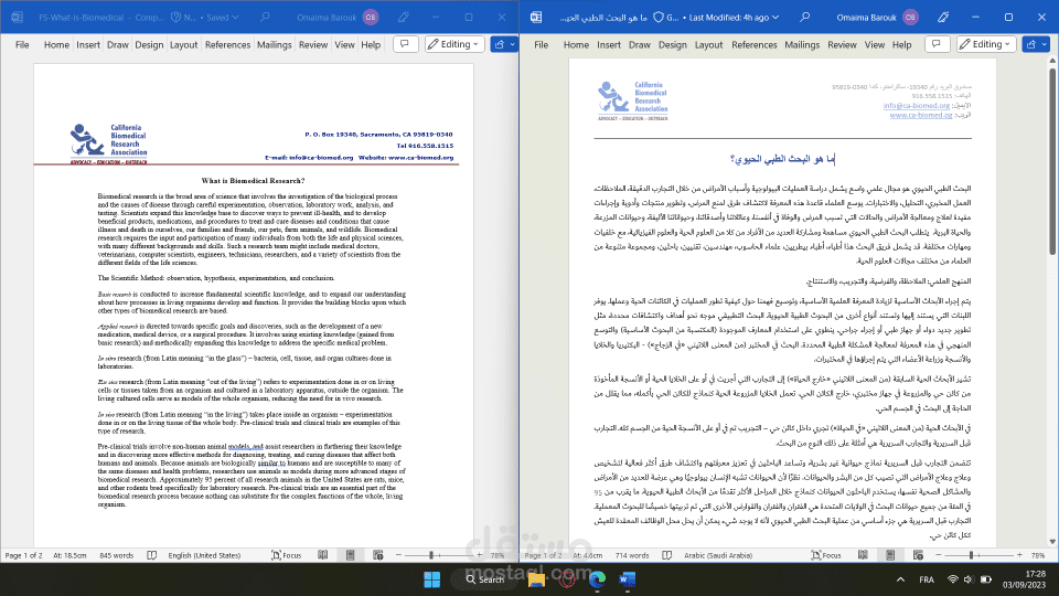 الترجمة الدقيقة من الانجليزية الى العربية.