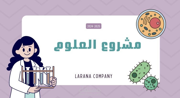 تصميم عرض تقديمي انفوجرافيك بشكل احترافي