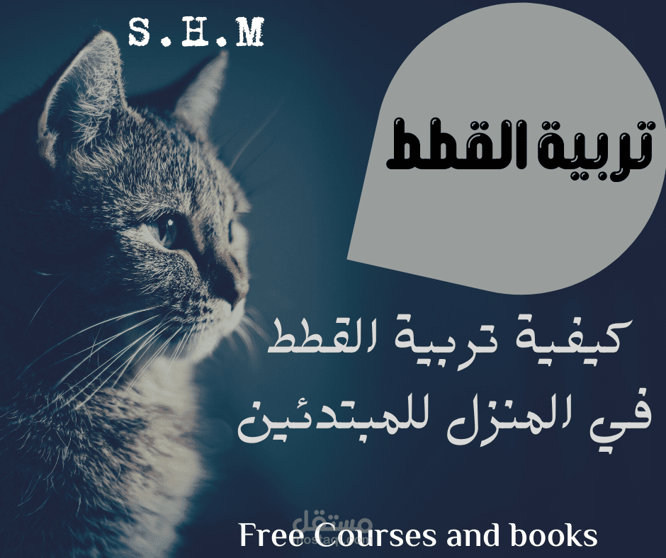 تربية القطط