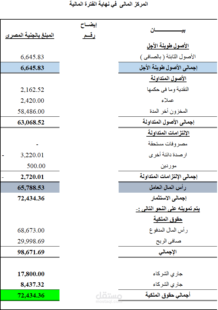 تنظيم شجرة الحسابات ادخال فواتير البيع والشراء والمصروفات مراجعة وتدقيق الحسابات