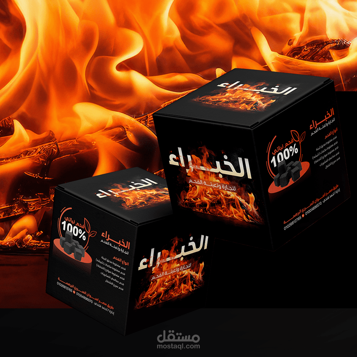 الخبراء