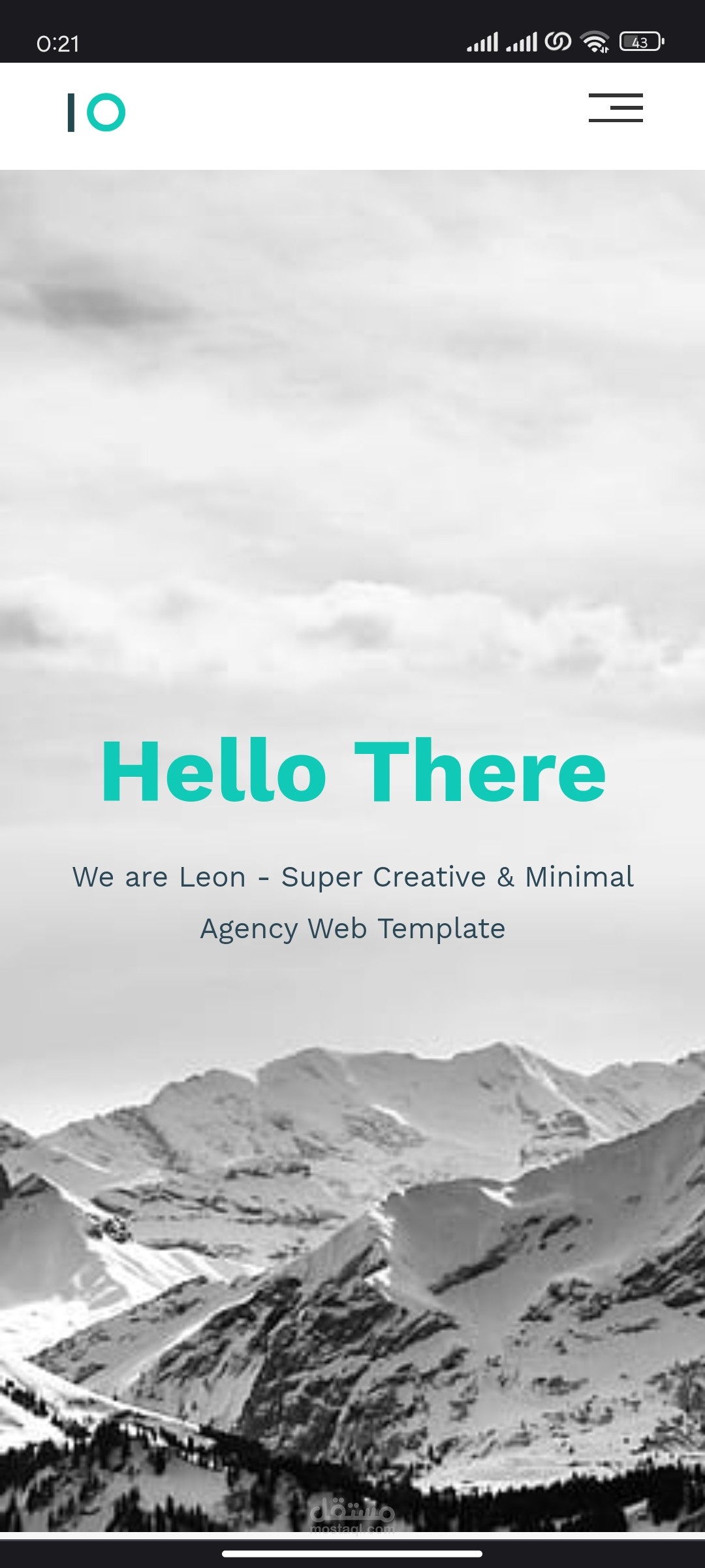 شركة leon