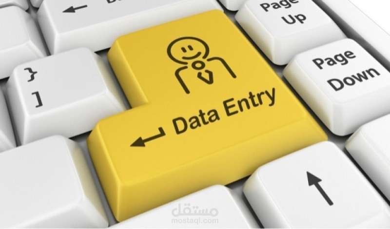 صاحب خبره عاليه بادخال البيانات علي المتاجر الالكتونيه