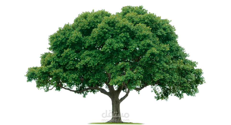 فكرة لمشروع ريادي