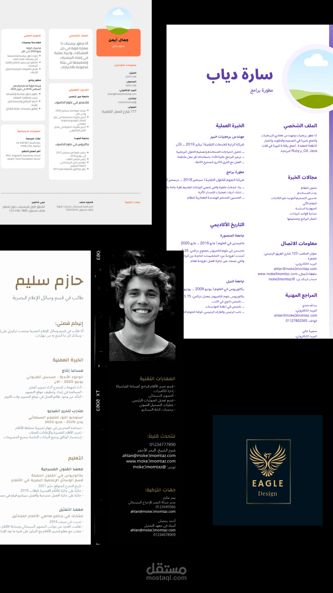 قالب سيرة ذاتية احترافية