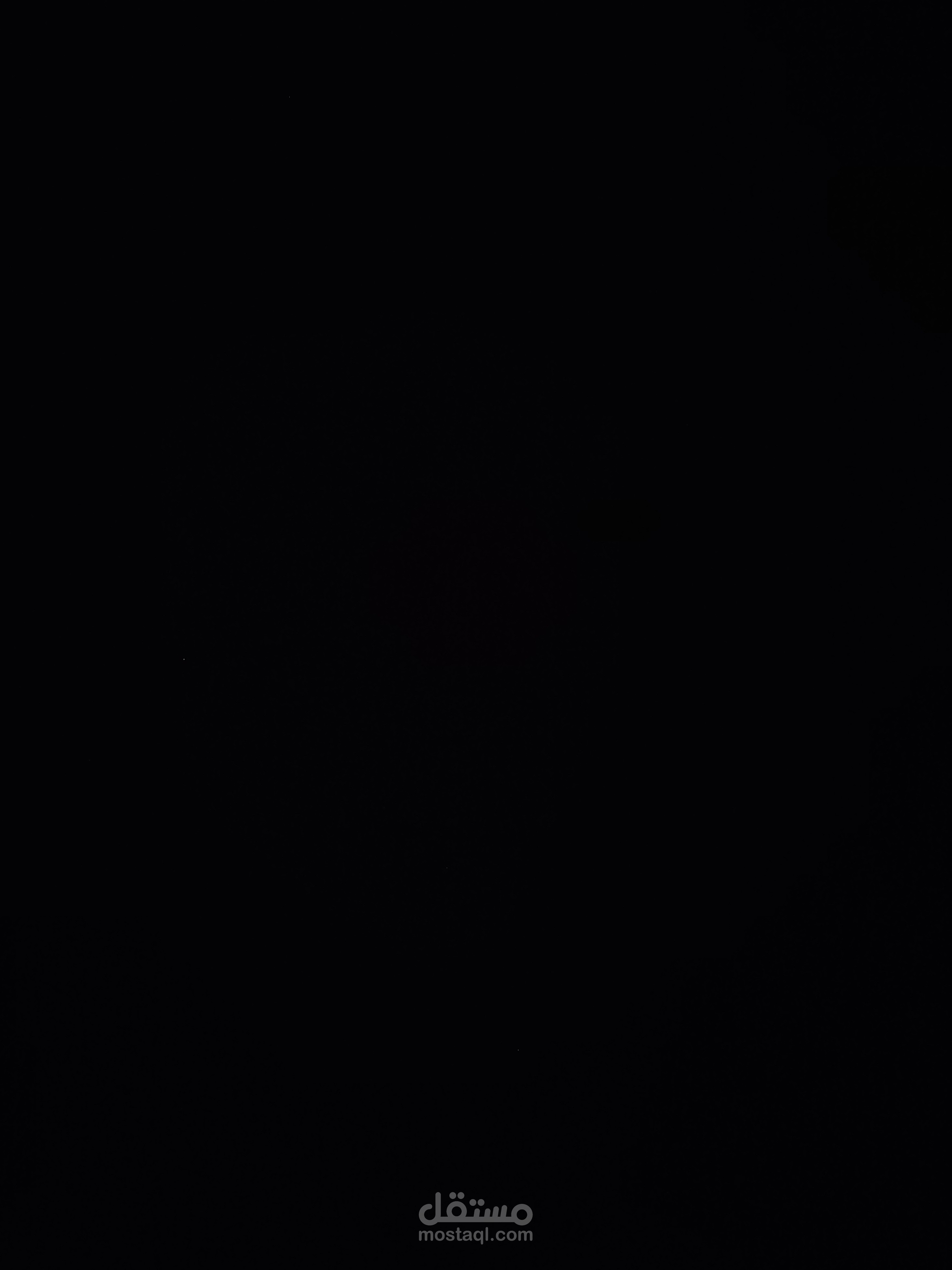 شركة تأمين كبري