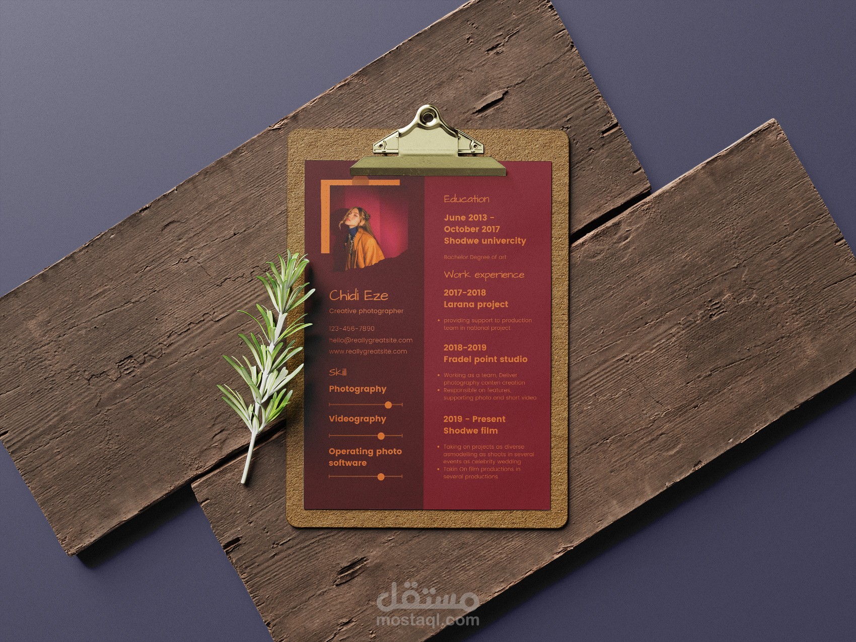 تصميم سيرة ذاتية ( CV - resume )