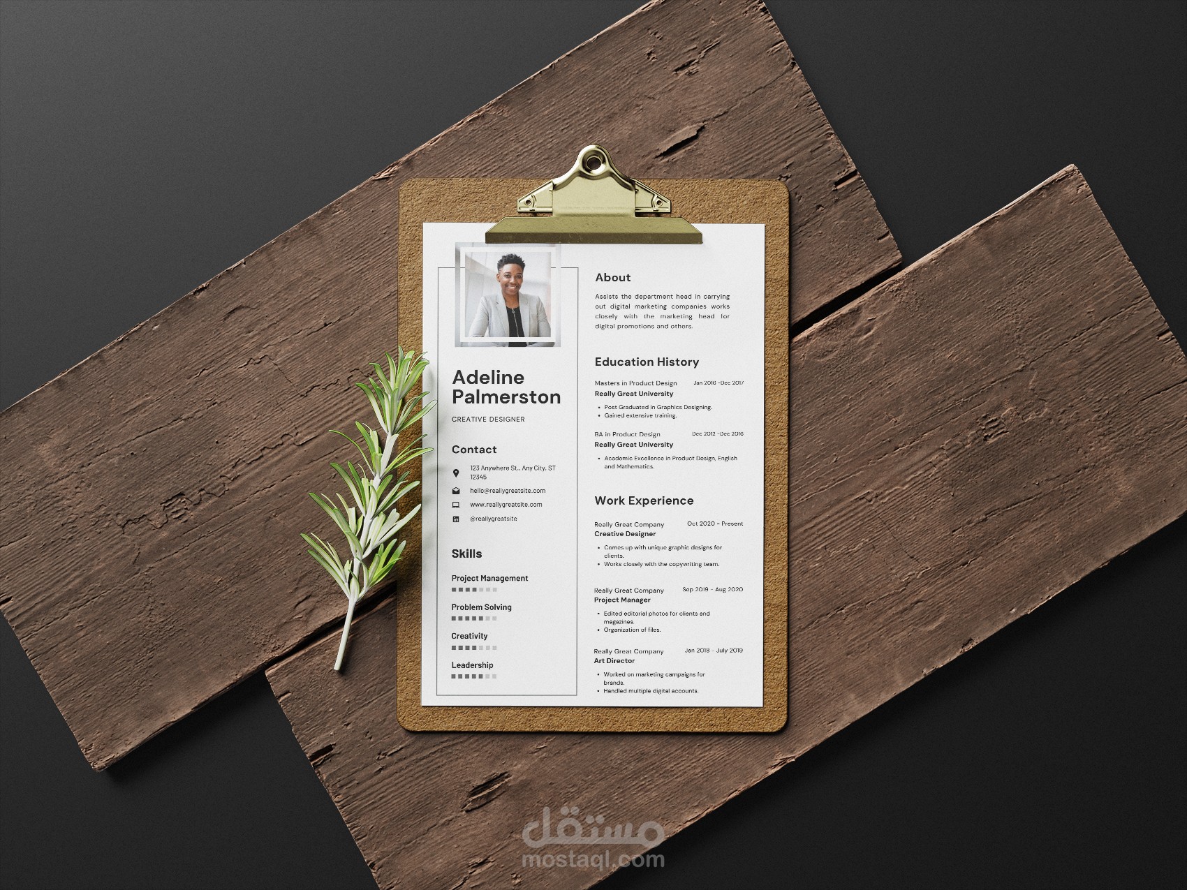 تصميم سيرة ذاتية ( CV - resume )